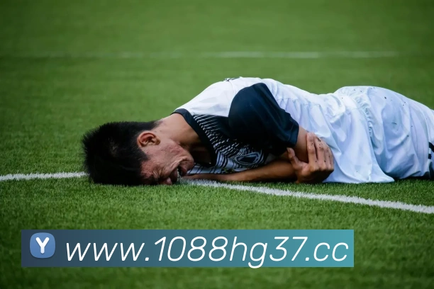 皇冠官网平台服务体系
